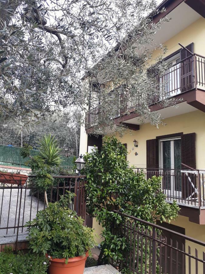 Casa Anna Apartments 皮埃蒙特 外观 照片